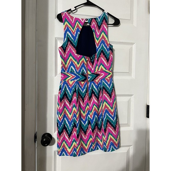 Lilly Pulitzer Kirkland Hearts a Flutter Chevron Stripe Dress Size 4 - Picture 3 of 5